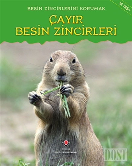 Besin Zincirlerini Korumak Çayır Besin Zincirleri